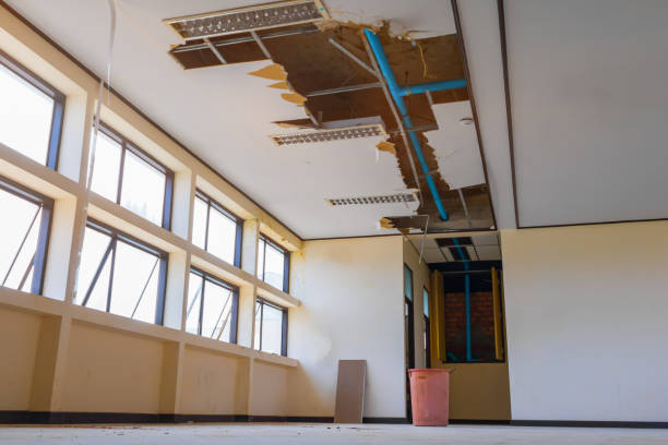 Best Water damage repair service  in Lockeford, CA