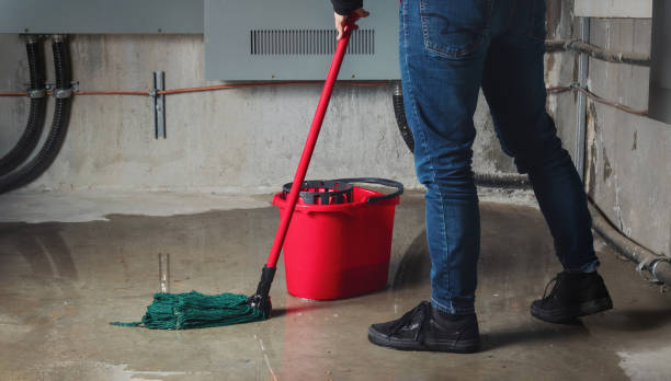 Best Sewage cleanup and water damage restoration  in Lockeford, CA