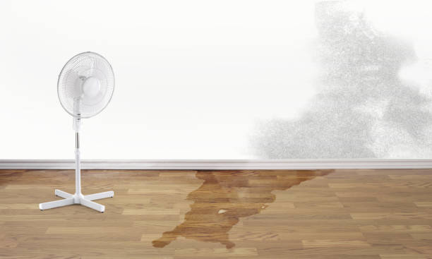 Best Ceiling water damage repair  in Lockeford, CA