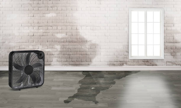 Best Fire Damage Restoration  in Lockeford, CA