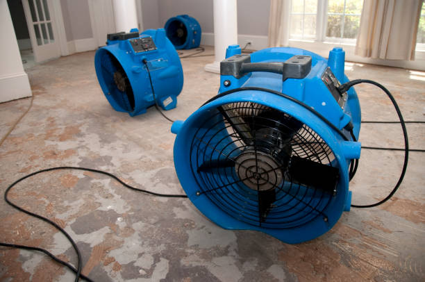 Best Local water damage restoration  in Lockeford, CA