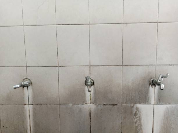 Best Mold removal after water damage  in Lockeford, CA